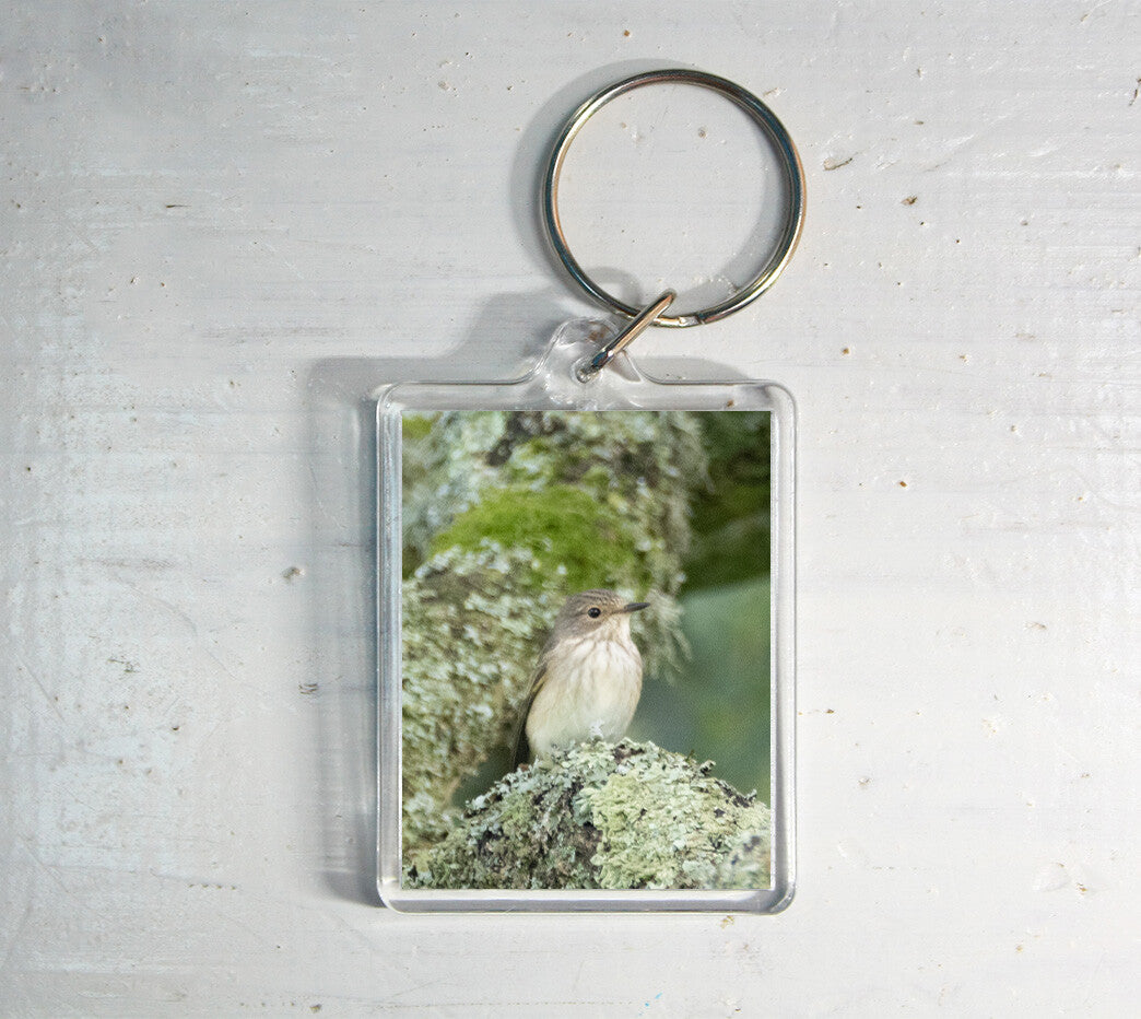 Spotted Flycatcher Keyring - British wildlife photography