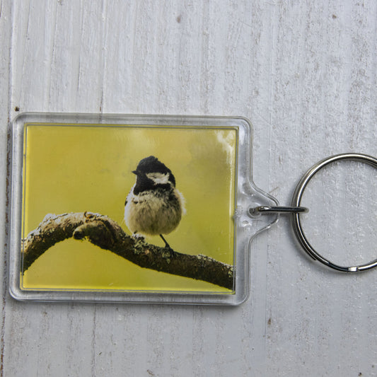 Coal Tit Keyring - British wildlife photography