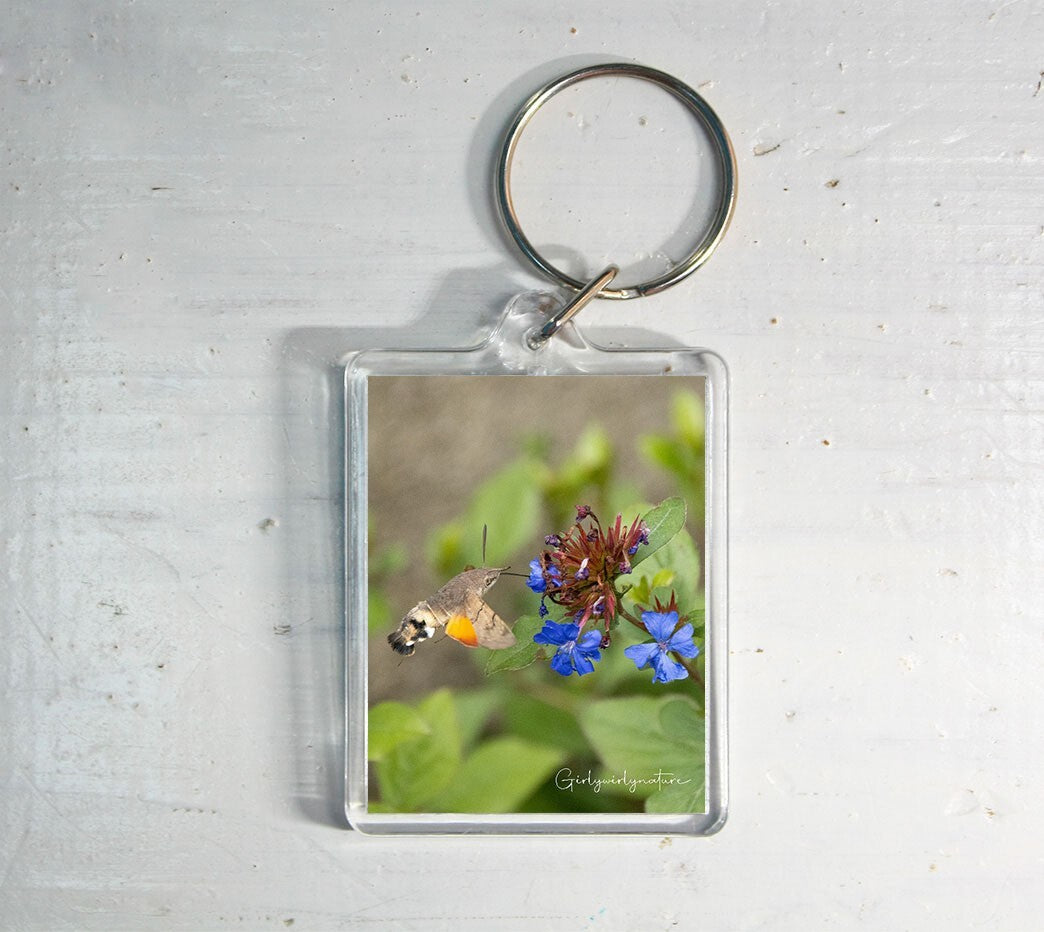 Hummingbird Hawk Moth Keyring - British wildlife photography