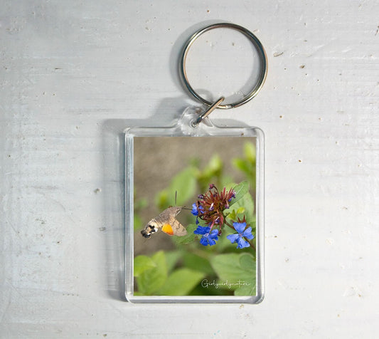 Hummingbird Hawk Moth Keyring - British wildlife photography
