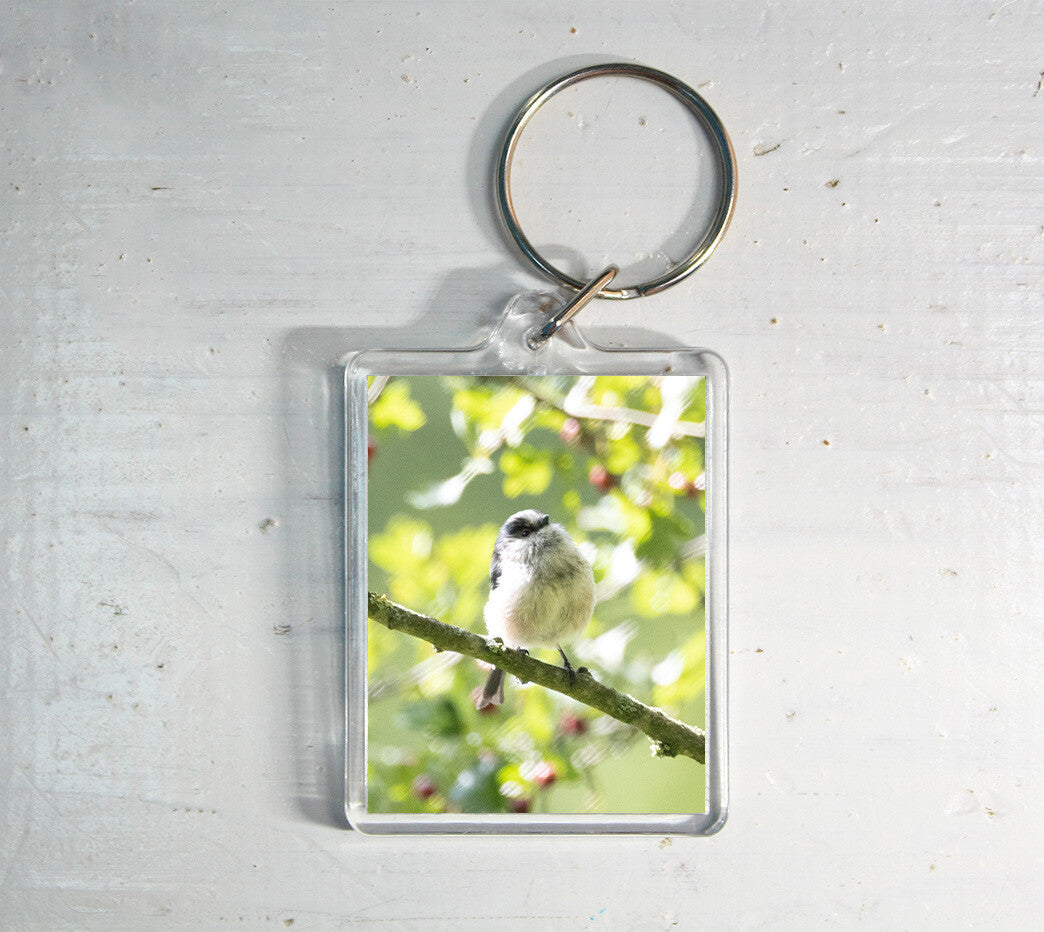 Long-Tailed Tit Keyring - British wildlife photography